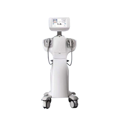 High Intensity Focused Ultrasound Hifu Vaginals Care Rejuvenation Vaginas Tightening Machine
